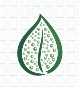 Tautropfen auf einem Blatt